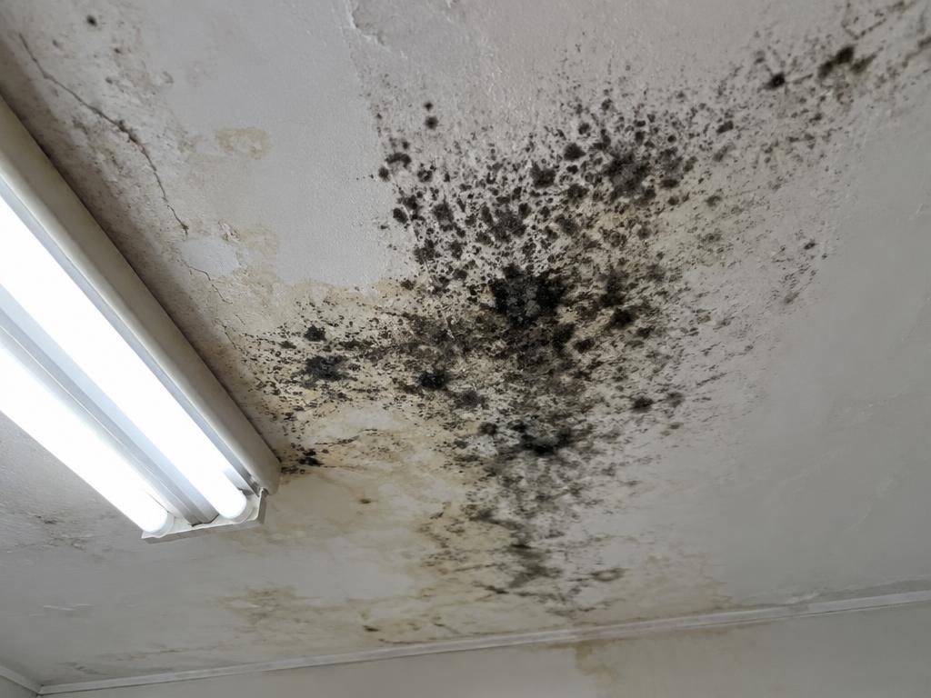 Mould growth on a damp ceiling